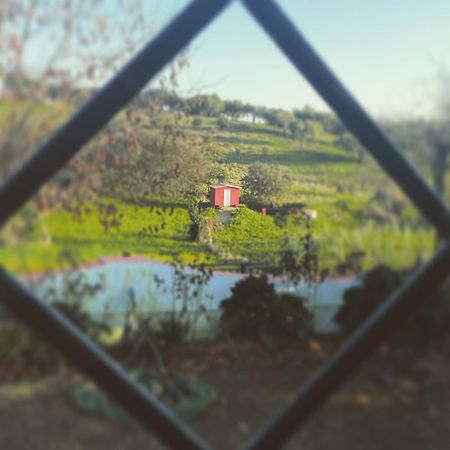 La Casa Barata, Casa Rural Cedillo Dış mekan fotoğraf