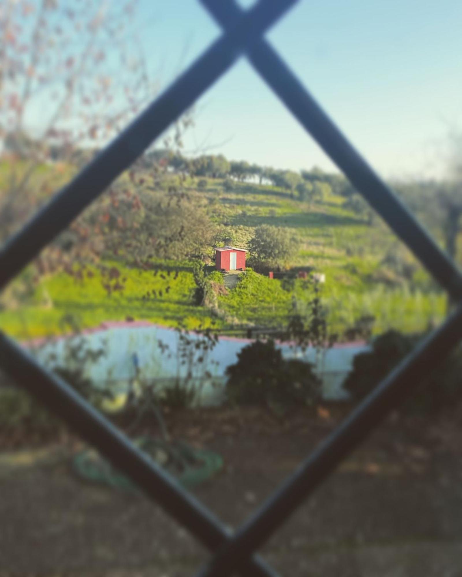La Casa Barata, Casa Rural Cedillo Dış mekan fotoğraf