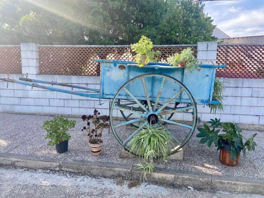 La Casa Barata, Casa Rural Cedillo Dış mekan fotoğraf